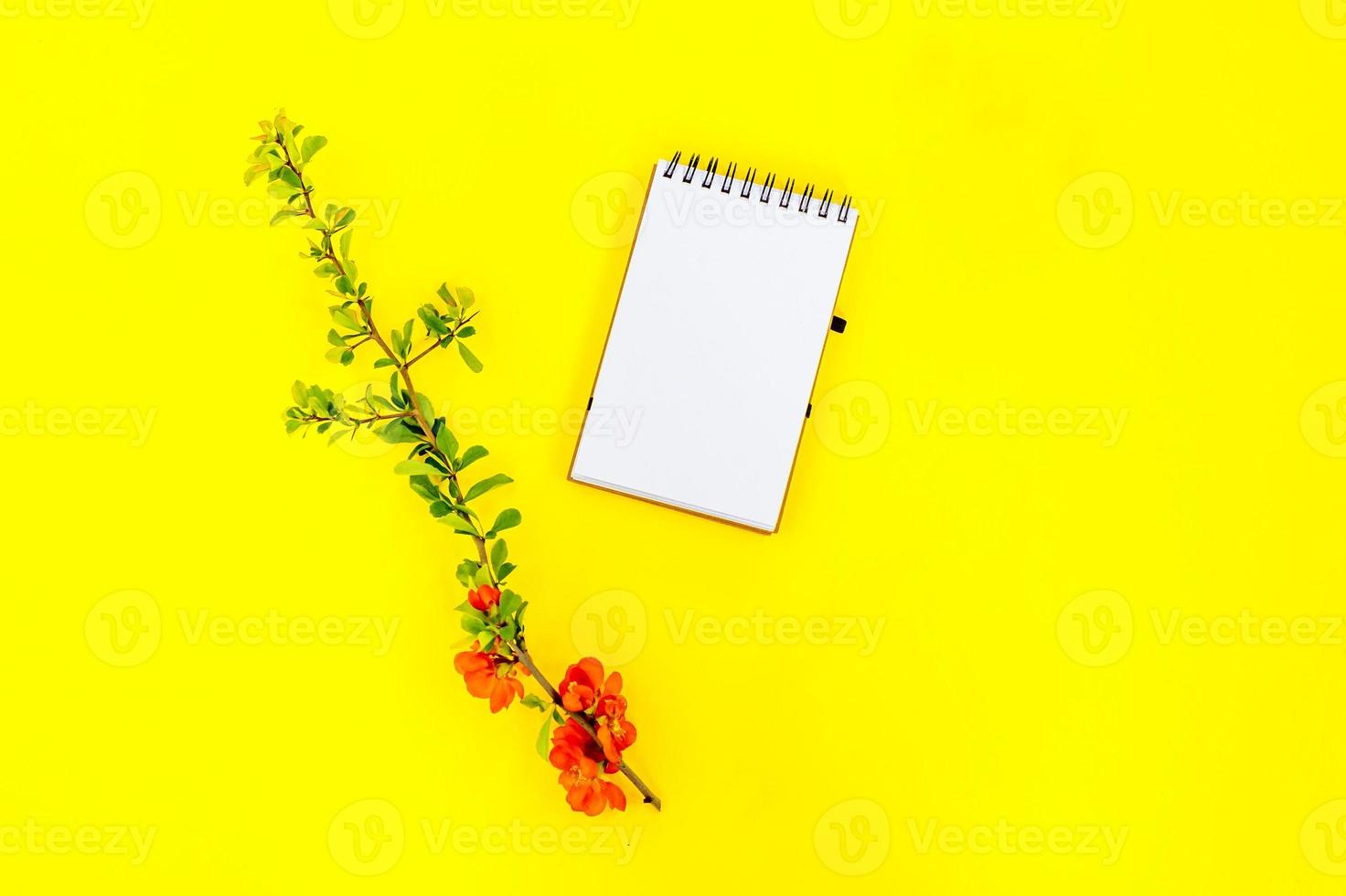 plano creativo de maqueta de marco de bloc de notas en espiral en blanco y pétalos de flores de árbol de membrillo sobre fondo amarillo con espacio de copia en estilo mínimo, plantilla para letras, texto o su diseño foto