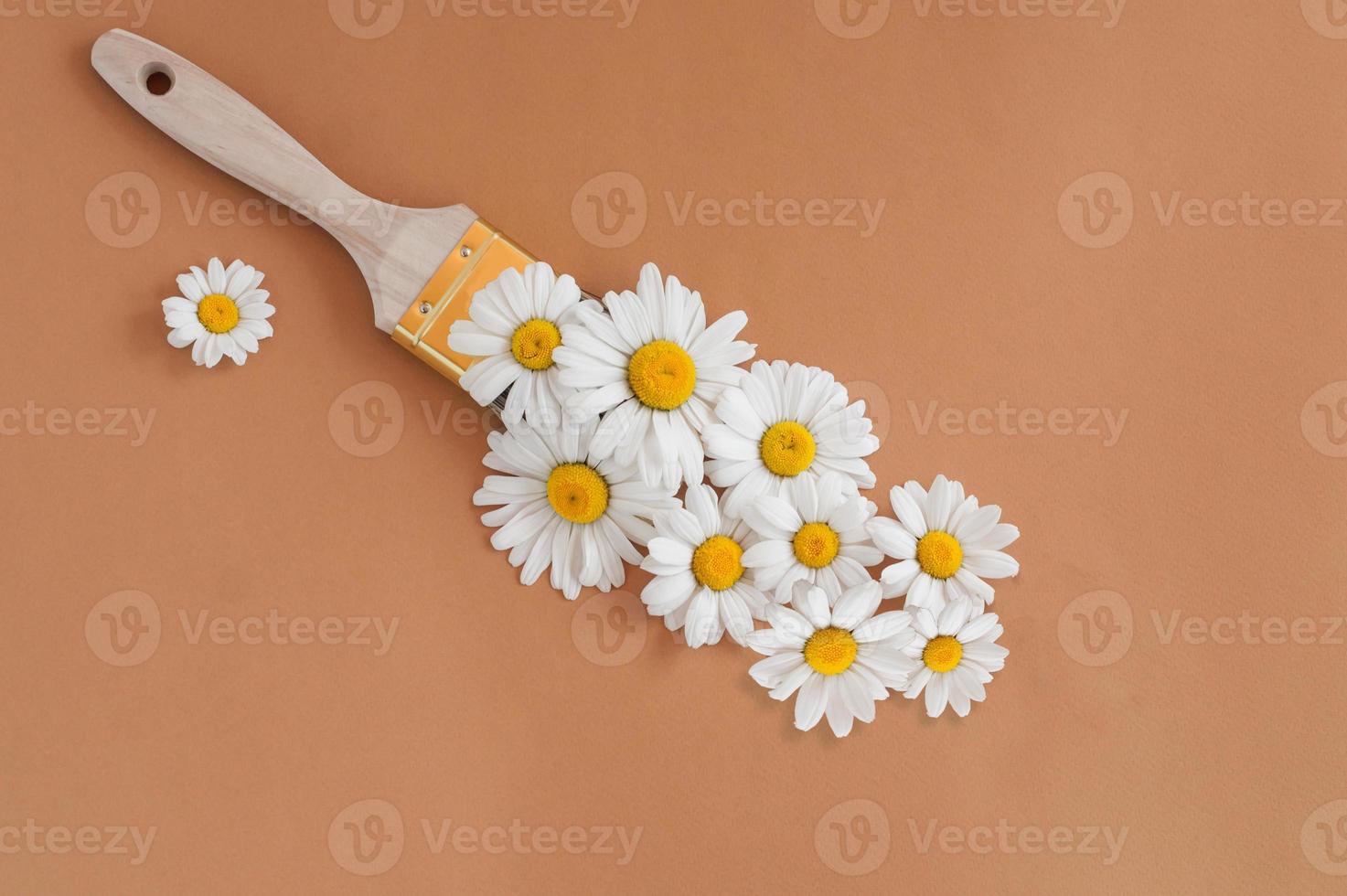 Paint brush drawing with cammomile flowers on a brown background. The concept of spring and international women day on March 8. photo