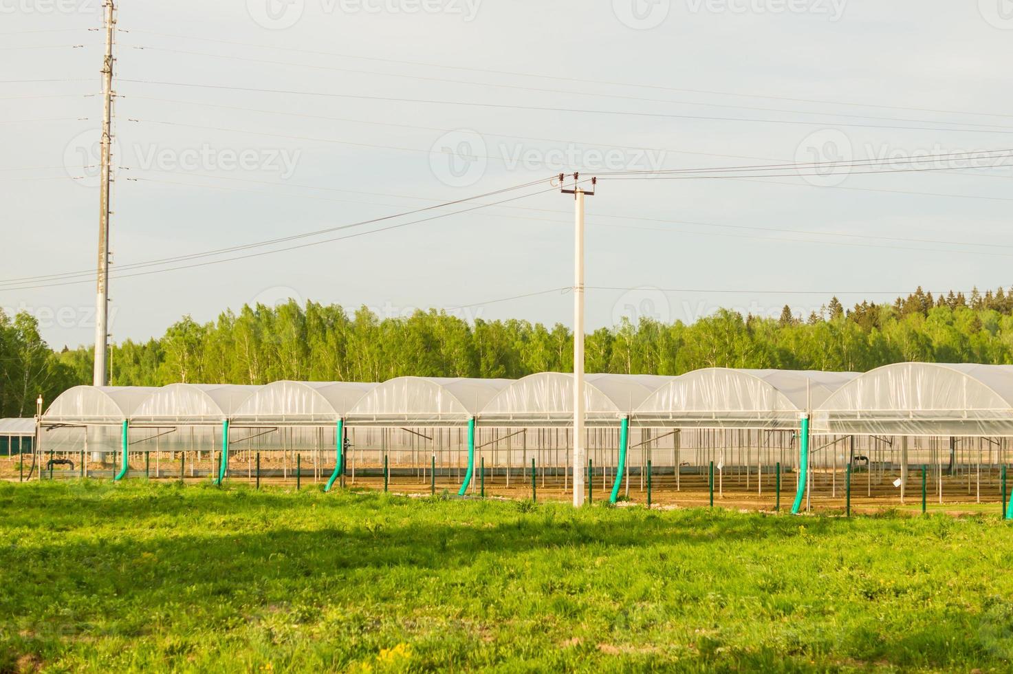 Commercial glass greenhouses. High tech industrial production of vegetables and flowers. photo