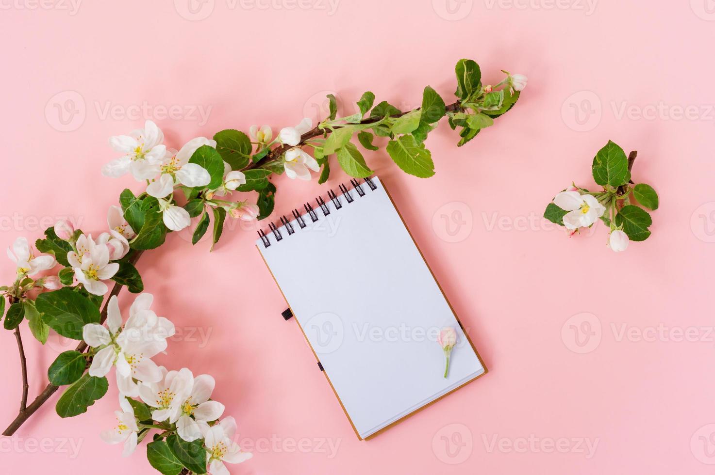 Creative flat lay of blank spiral notepad frame mock up and apple tree flowers petals on pastel pink background with copy space in minimal style, template for lettering, text or your design photo
