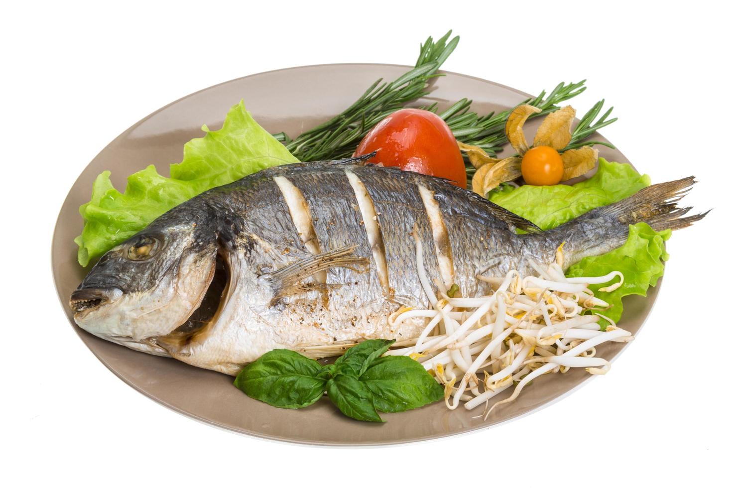 Grilled dorada on the plate and white background photo