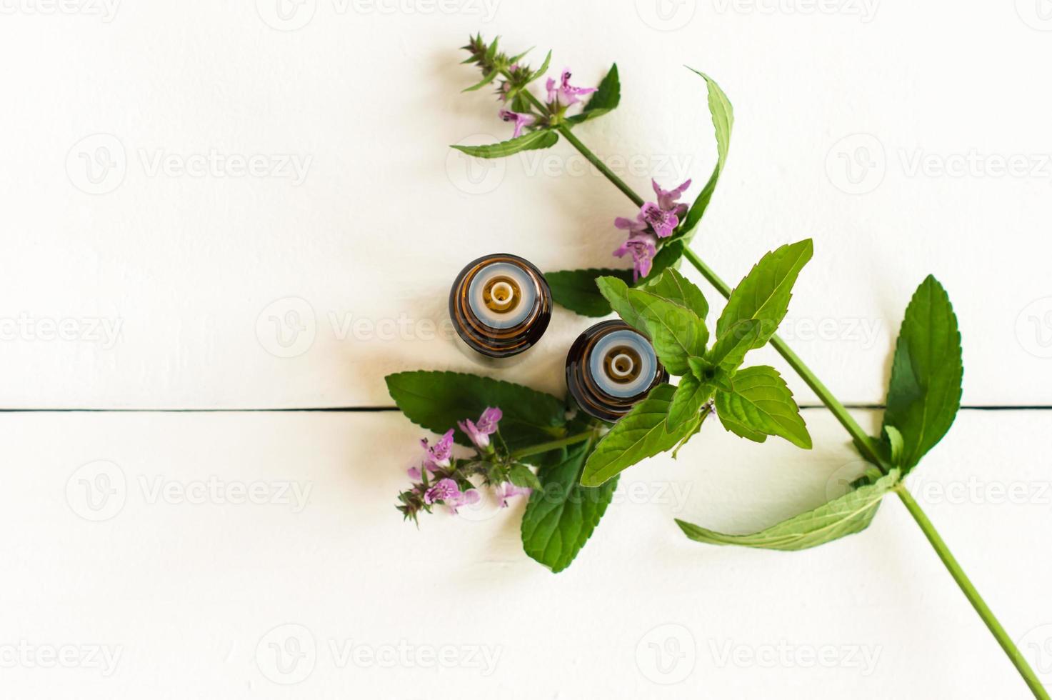 view on top of fresh green mint and glass bottles of essential mint oil on a white background. concept of natural herbal medicinal aromatic plants. photo