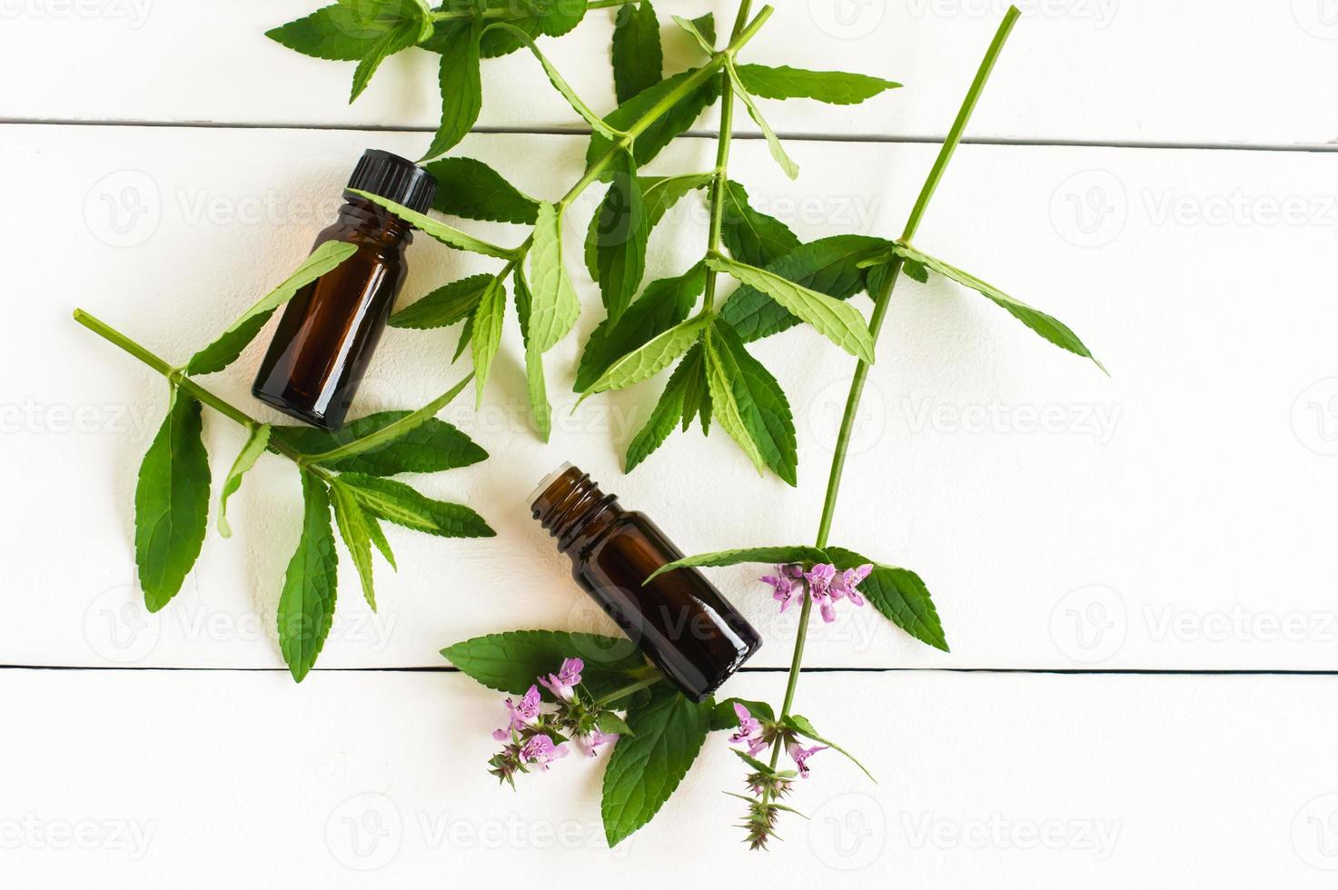 mint essential oil in bottles of droppers and twigs of mint on a white wooden table. photo