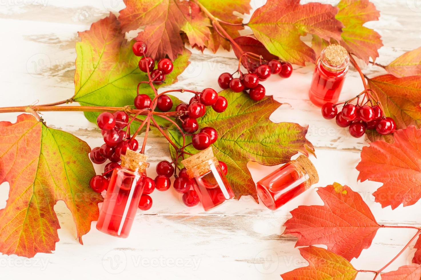 top view of the autumn composition of bottles with natural viburnum oil and branches with ripe viburnum berries. photo