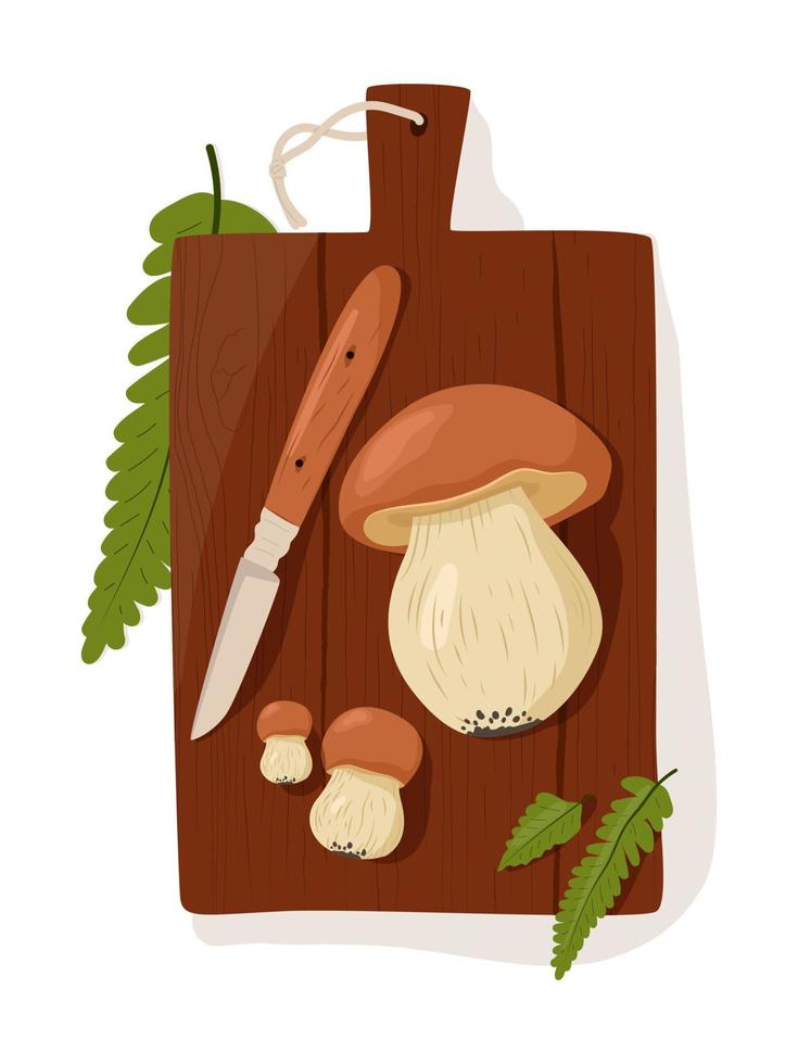 Fresh and wild porcini mushrooms on an old wooden board isolated on a white background. Top view. Vector illustration