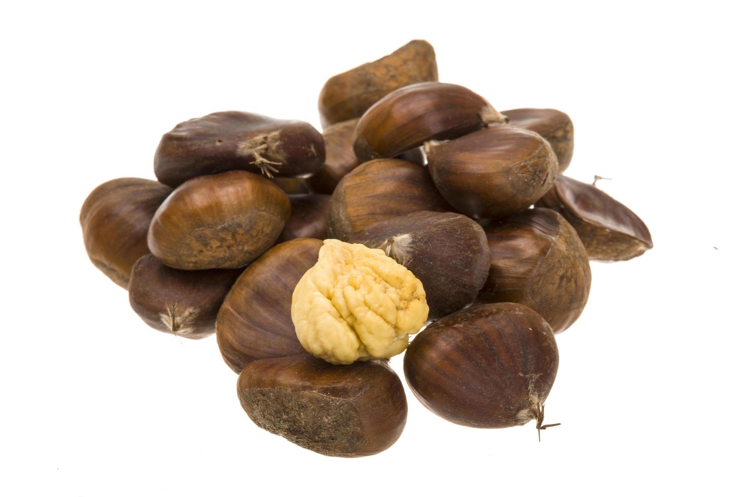 Chestnut on white background photo