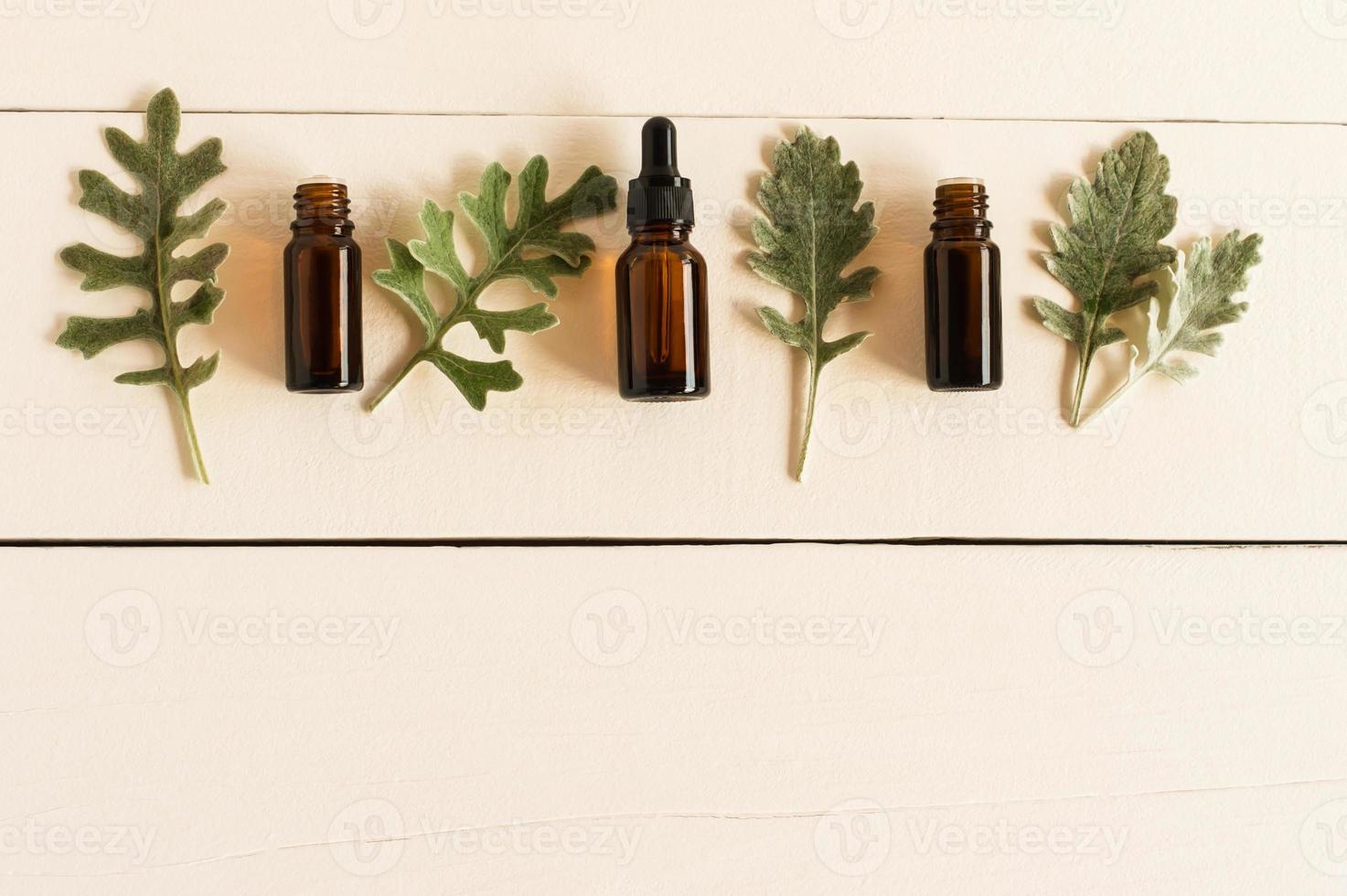 essential aromatic oil with natural ingredients against the background of a white wooden table with gray leaves of plants. flat lay. photo