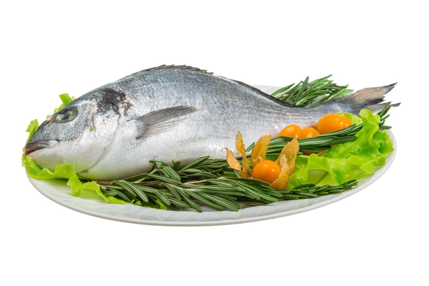 Raw dorada on the plate and white background photo