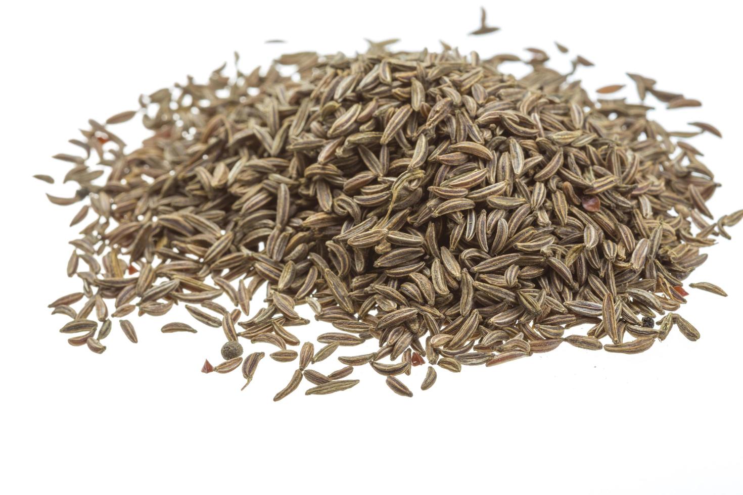 caraway on white background photo