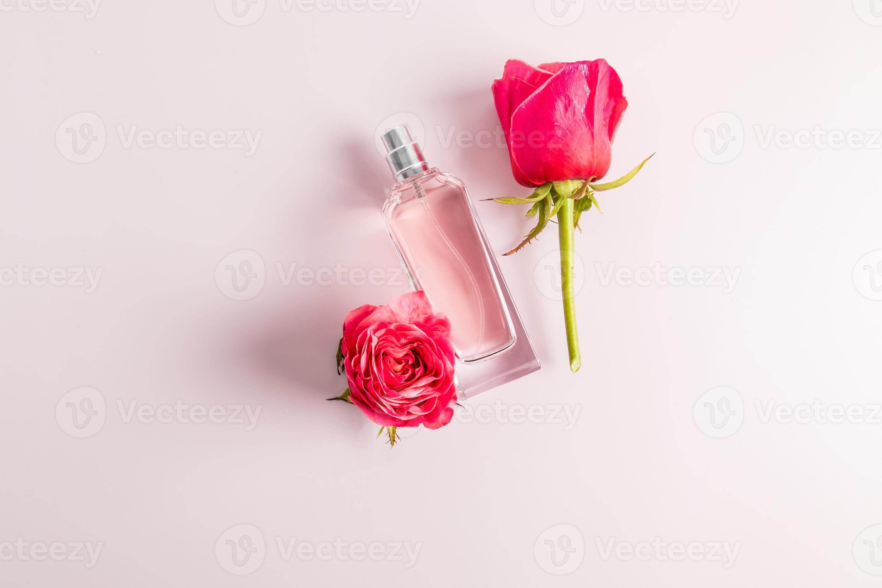 perfume in a glass bottle on a pink background with buds of fresh roses