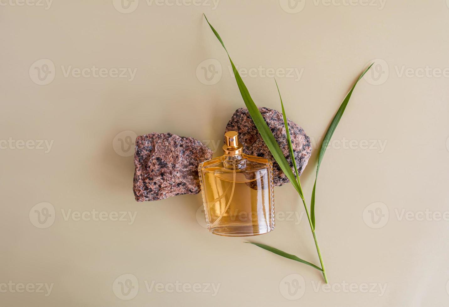 cosmetic natural spray in a glass transparent bottle among natural stones and green blade of grass. top view. photo