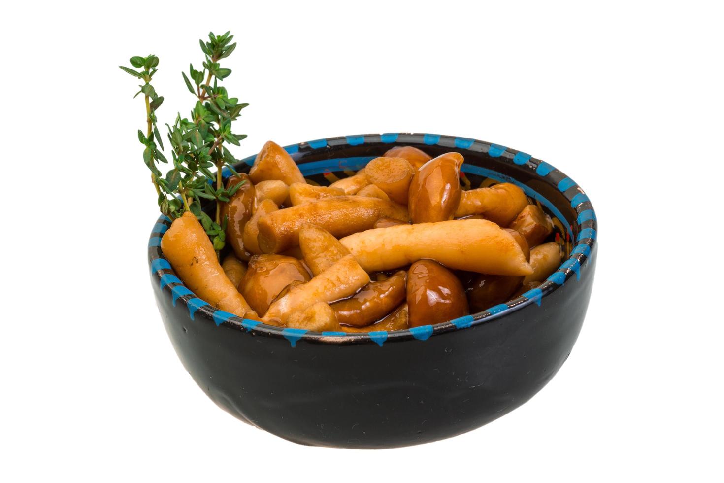 Armillaria in a bowl on white background photo