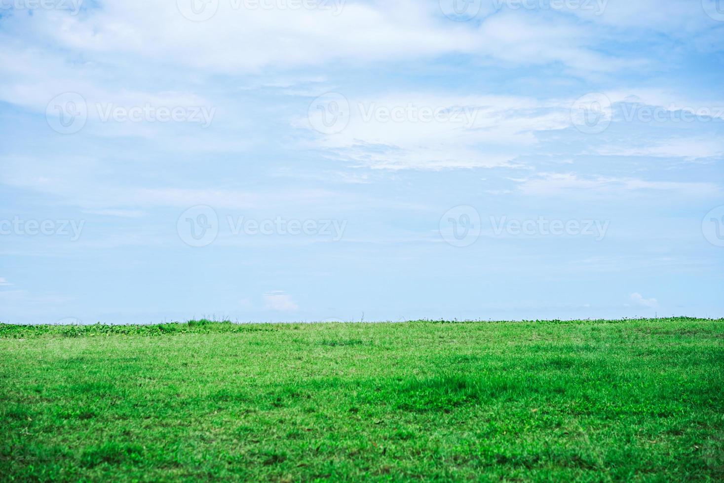 Beautiful landscape of Green field and white clouds copy space for text or design photo