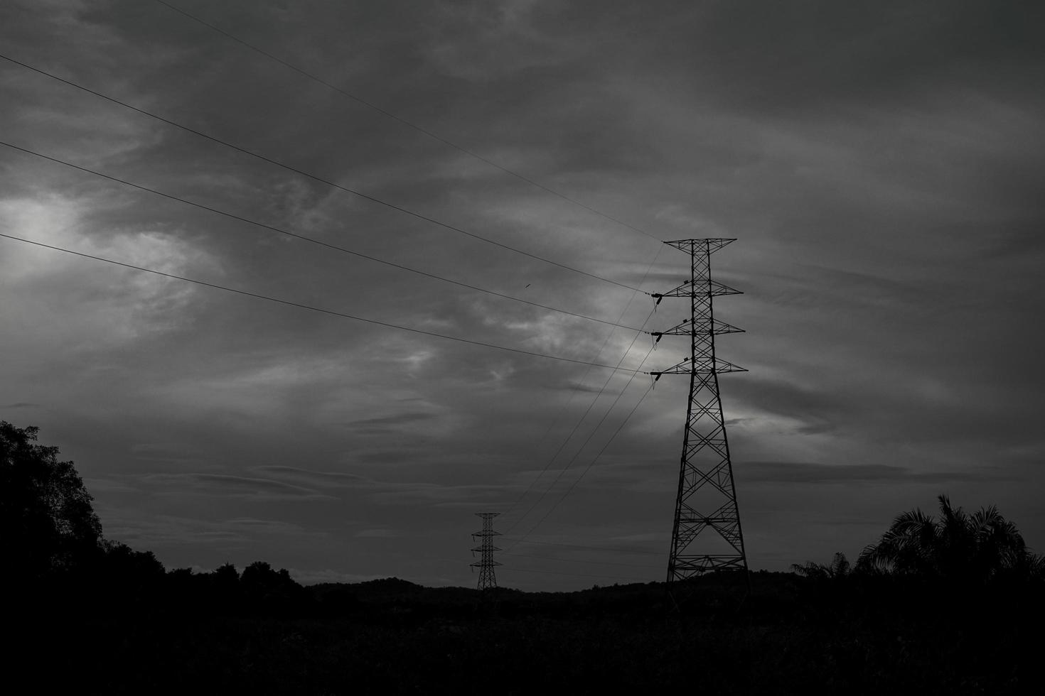 Black and white landscape of Electric pole Background for design photo