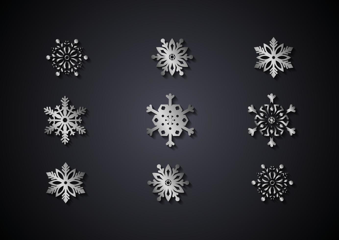 Silver snowflake collection isolated on black background vector