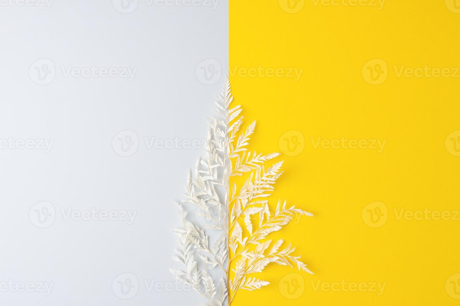 Cosmetic background with flowers on grey and yellow. Flat lay, copy space photo