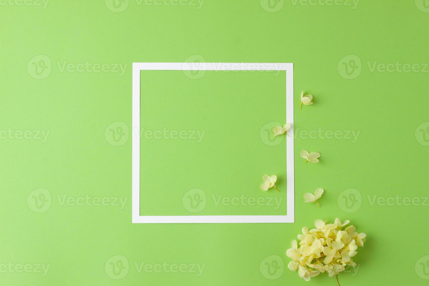 Cosmetic background with flowers and white frame on green. Flat lay, copy space photo