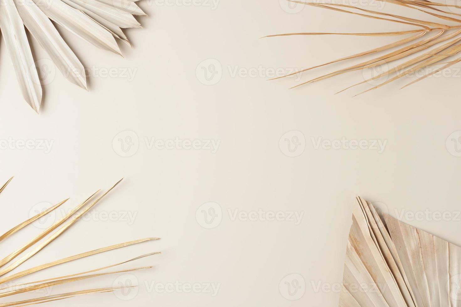 Tropical natural background with palm leaf on pastel beige. Flat lay, copy space photo
