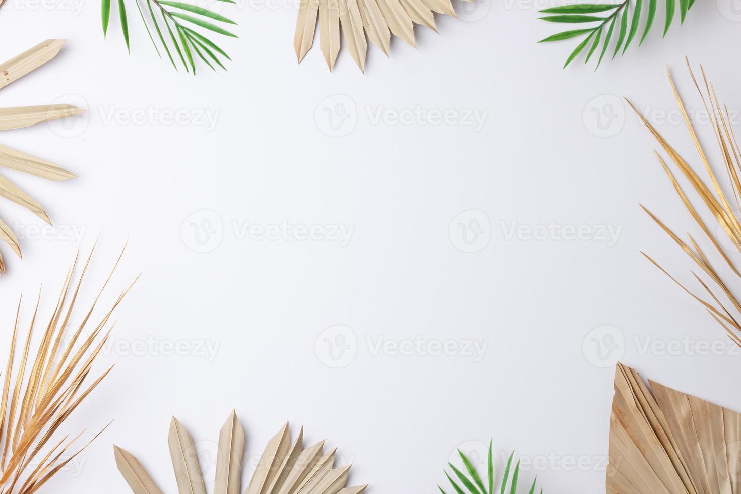 Tropical natural background with palm leaf on white. Flat lay, copy space photo