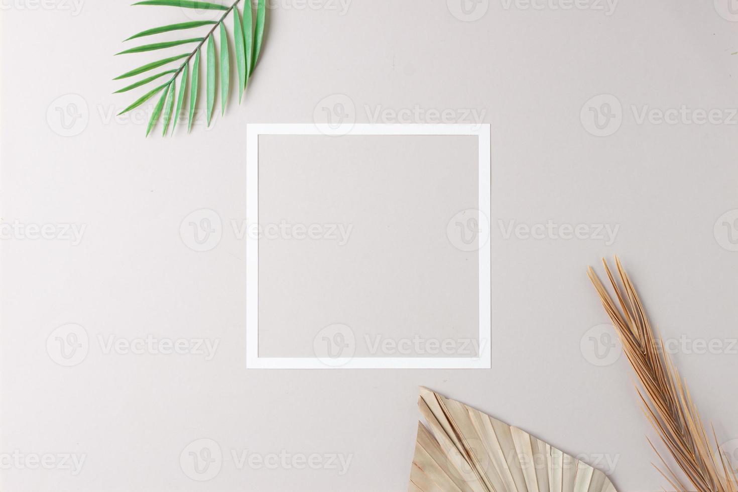 Minimal composition with white frame and palm leaf on grey background. Flat lay, copy space photo