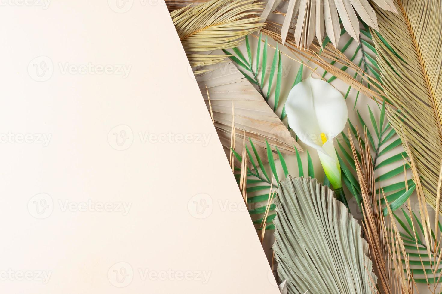 Tropical natural background with palm leaf and flower on pastel beige. Flat lay, copy space photo