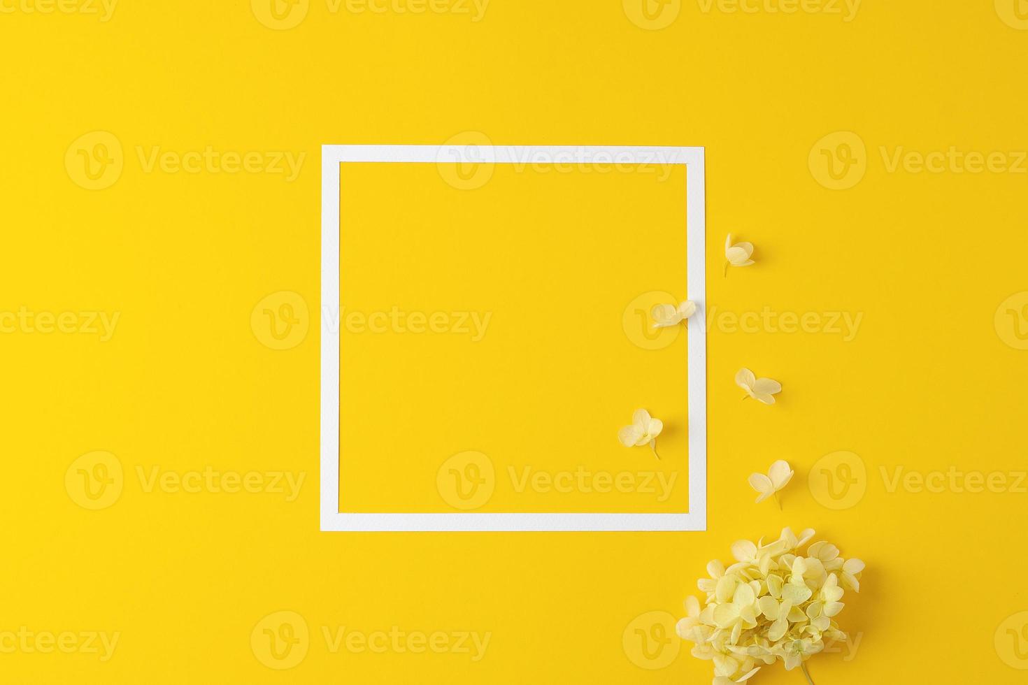 Cosmetic background with flowers and white frame on yellow. Flat lay, copy space photo