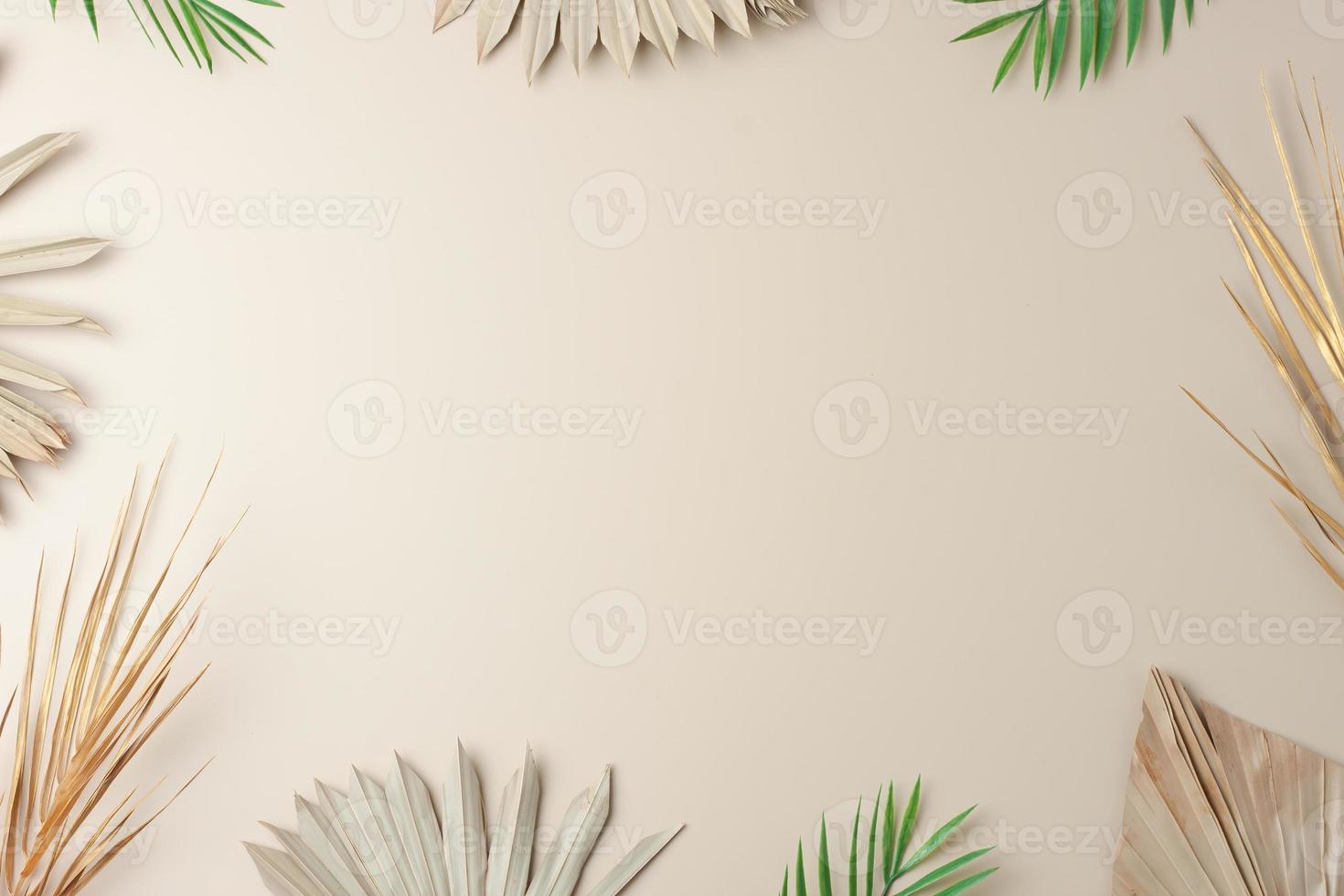 Tropical natural background with palm leaf on pastel beige. Flat lay, copy space photo