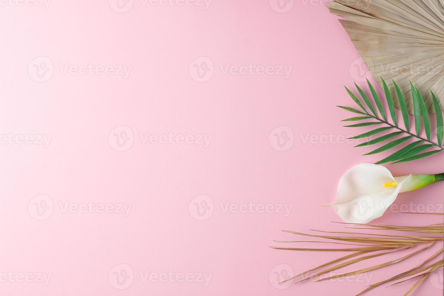 Tropical natural background with palm leaf and flower on pink. Flat lay, copy space photo
