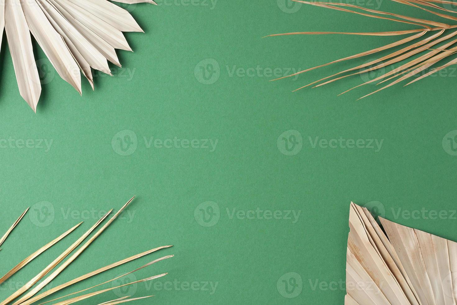 Tropical natural background with palm leaf on green. Flat lay, copy space photo