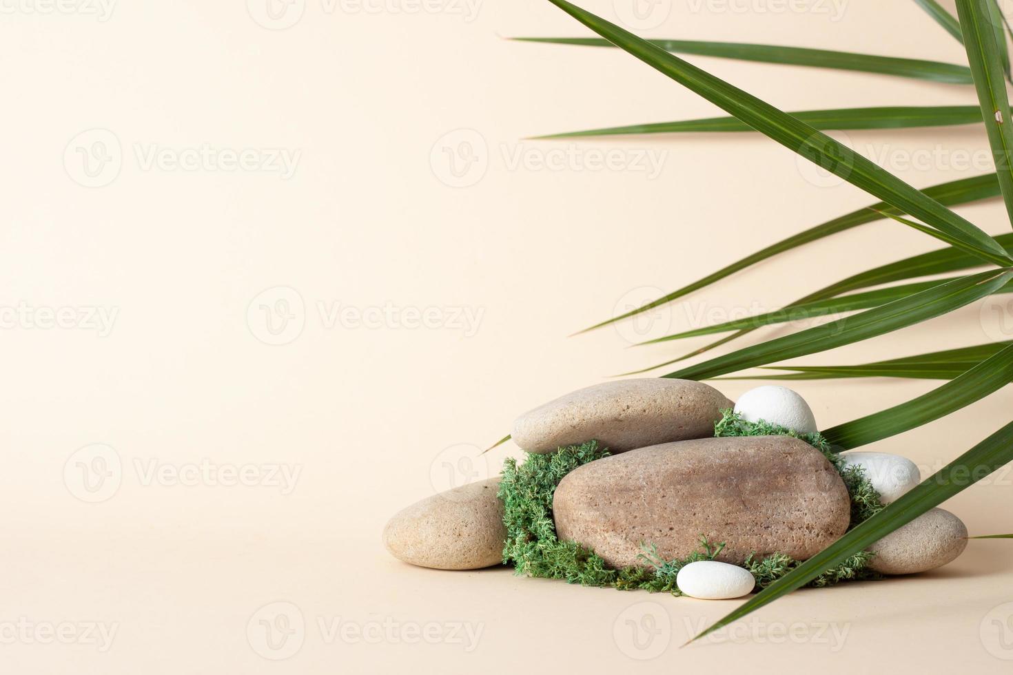 Cosmetic natural background with wood podium and moss, stone on beige. Empty showcase for cosmetic product presentation. photo