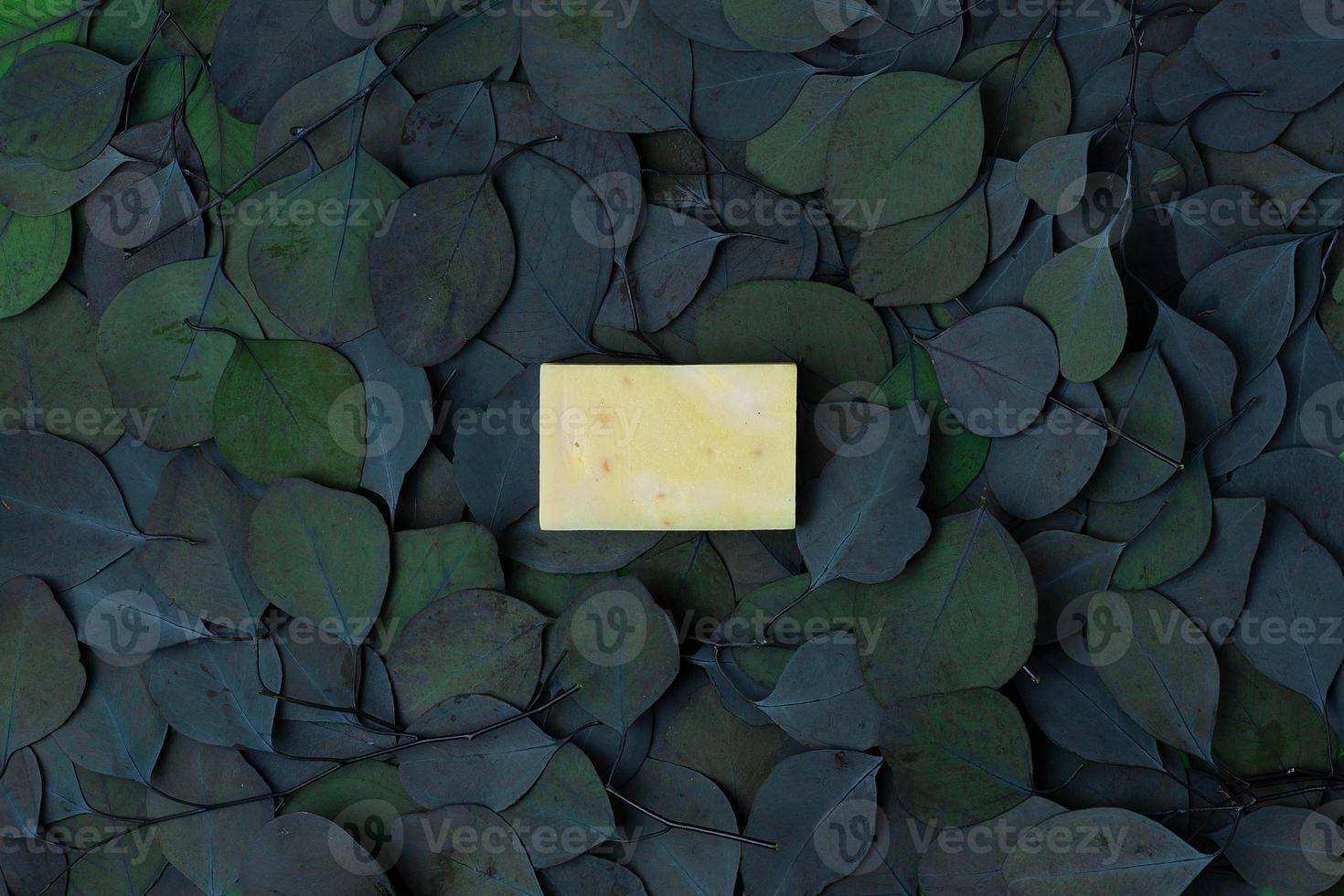 Natural background with eucalyptus and soap. Flat lay, copy space. photo