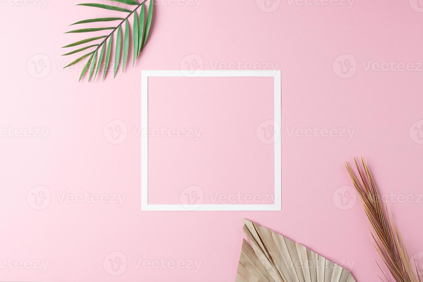Minimal composition with white frame and palm leaf on pink background. Flat lay, copy space photo