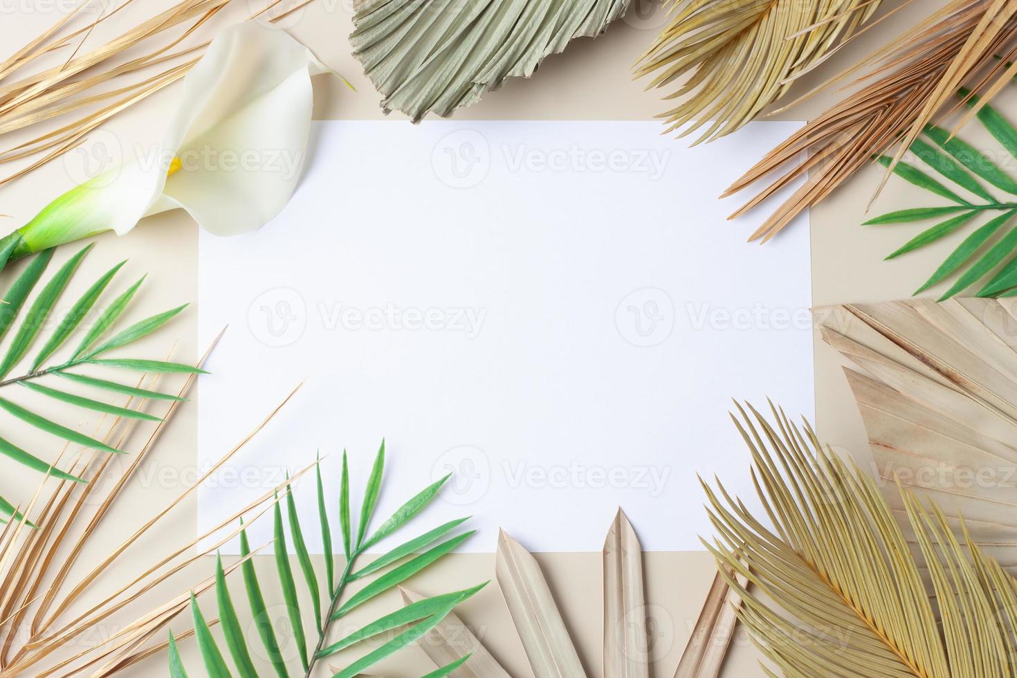 Tropical natural background with palm leaf on pastel beige. Flat lay, copy space photo