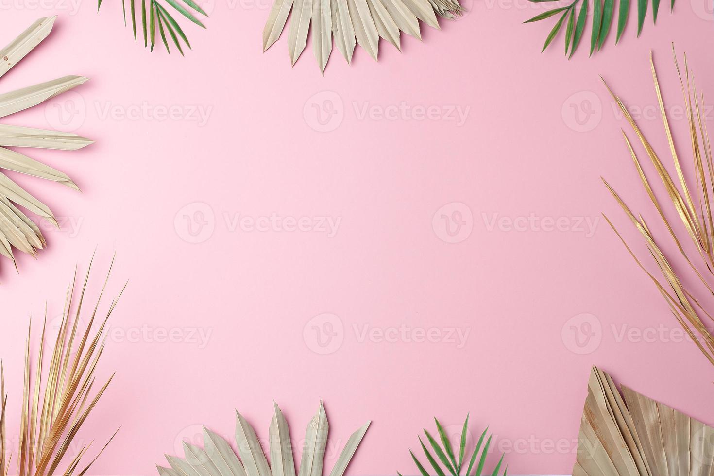 Tropical natural background with palm leaf on pink. Flat lay, copy space photo