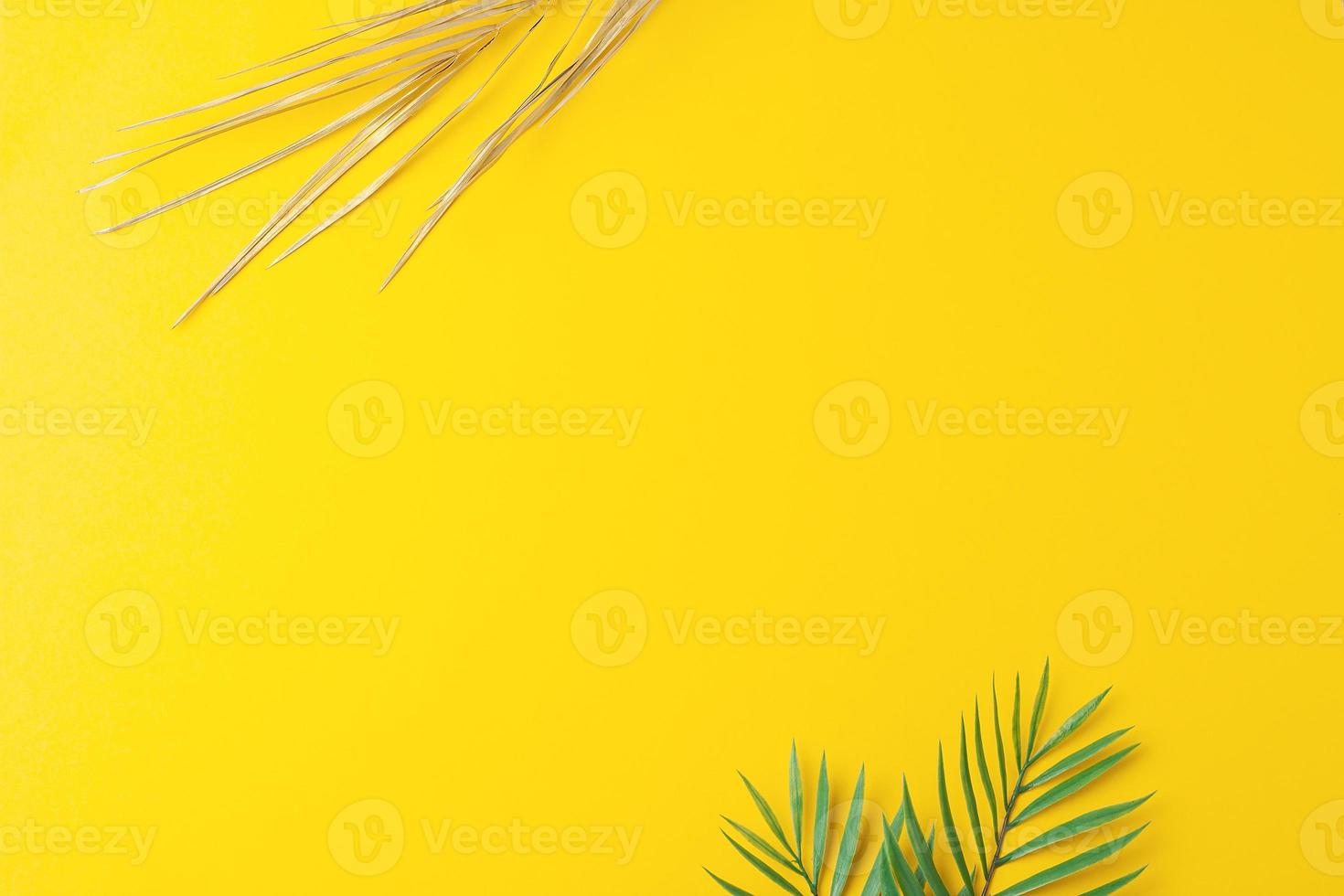 Tropical natural background with palm leaf on yellow. Flat lay, copy space photo