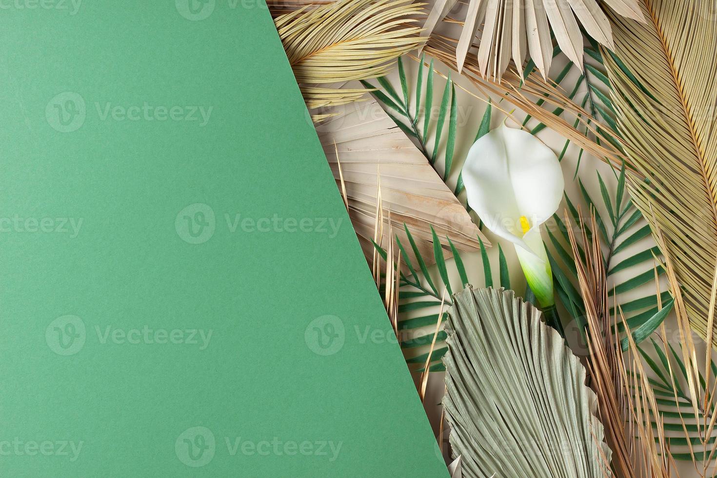 Tropical natural background with palm leaf and flower on green. Flat lay, copy space photo