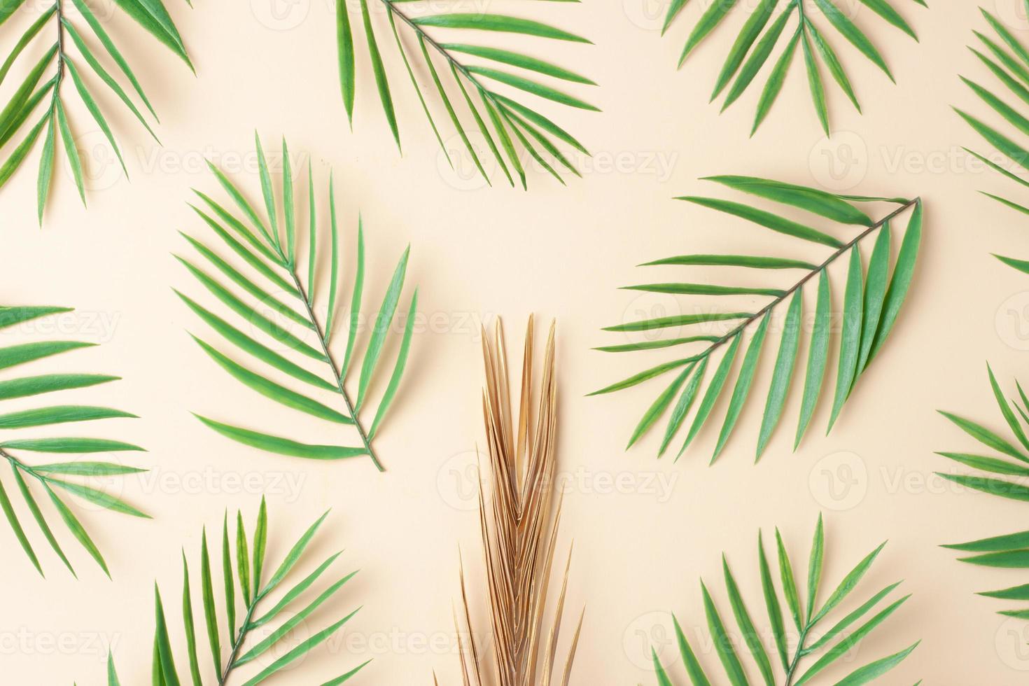 Tropical background with palm leaf on pastel beige. Flat lay, copy space photo