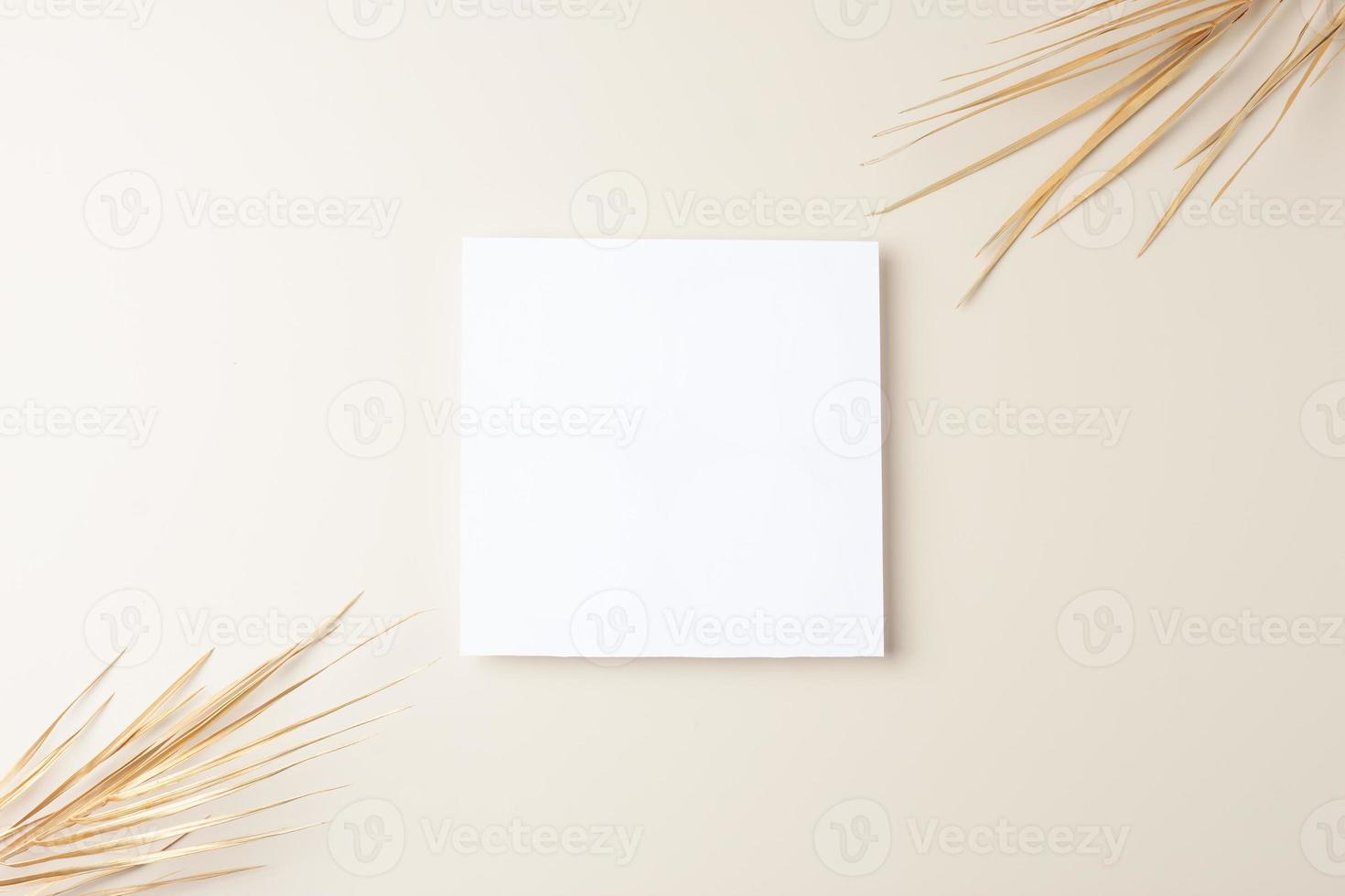 Minimal composition with palm leaf on pastel beige background. Flat lay, copy space photo