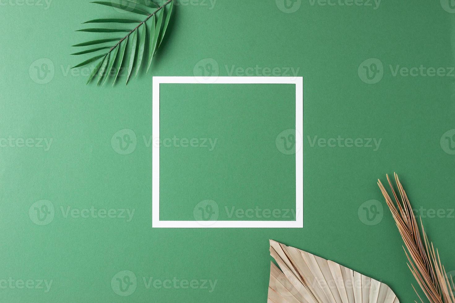 Minimal composition with white frame and palm leaf on green background. Flat lay, copy space photo