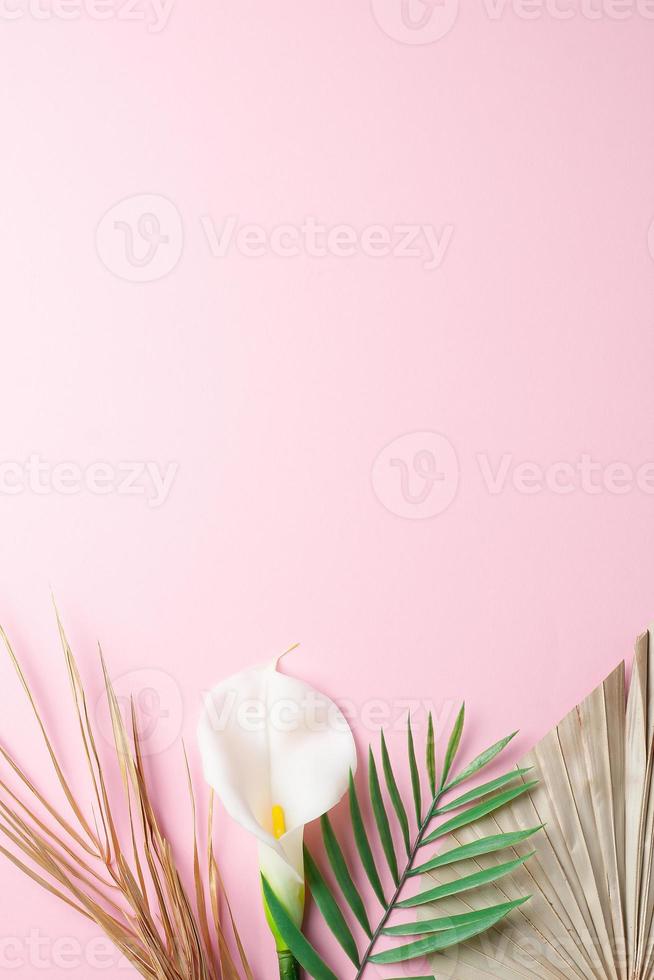 Tropical natural background with palm leaf and flower on pink. Flat lay, copy space photo