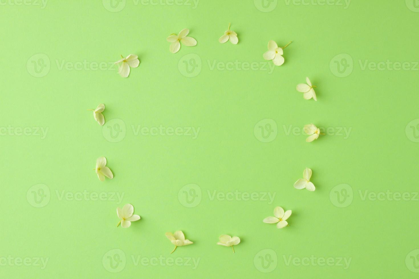 Cosmetic background with flowers on green. Flat lay, copy space photo