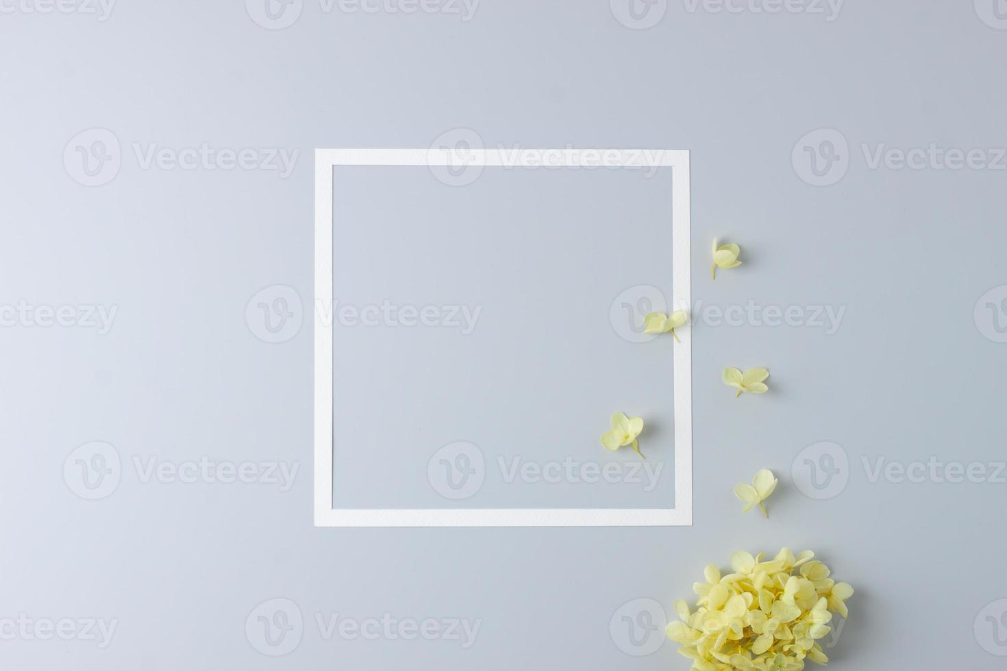 Cosmetic background with flowers and white frame on grey. Flat lay, copy space photo