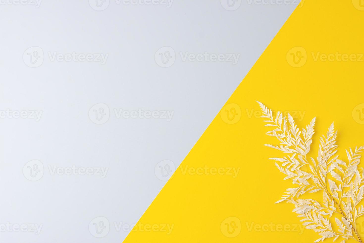 Cosmetic background with flowers on grey and yellow. Flat lay, copy space photo