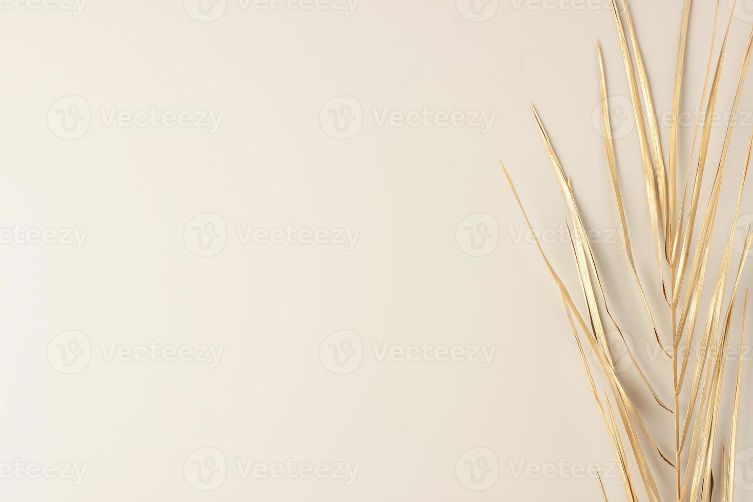 Tropical natural background with palm leaf on pastel beige. Flat lay, copy space photo