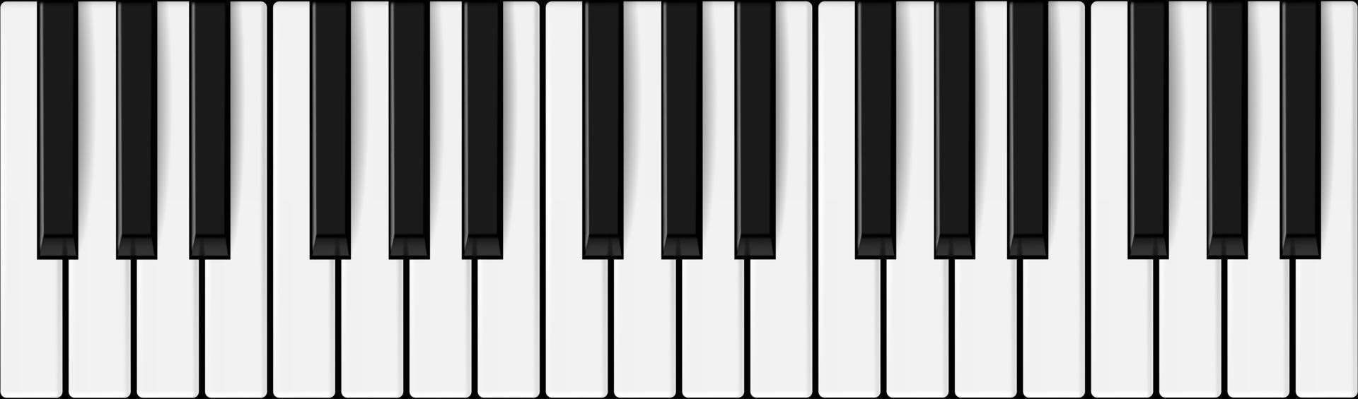 Vector realistic piano keys. Music theme design.