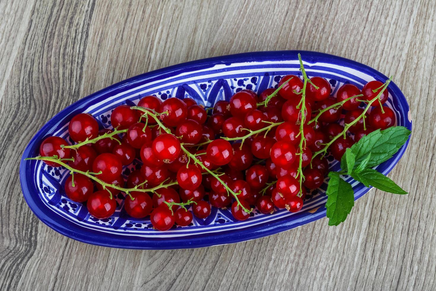 Red currants dish view photo