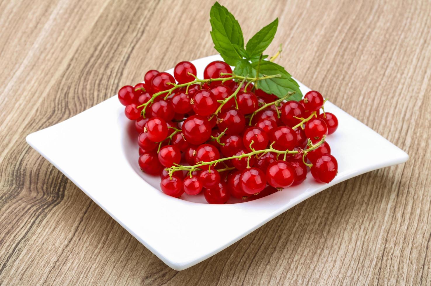 Red currants dish view photo