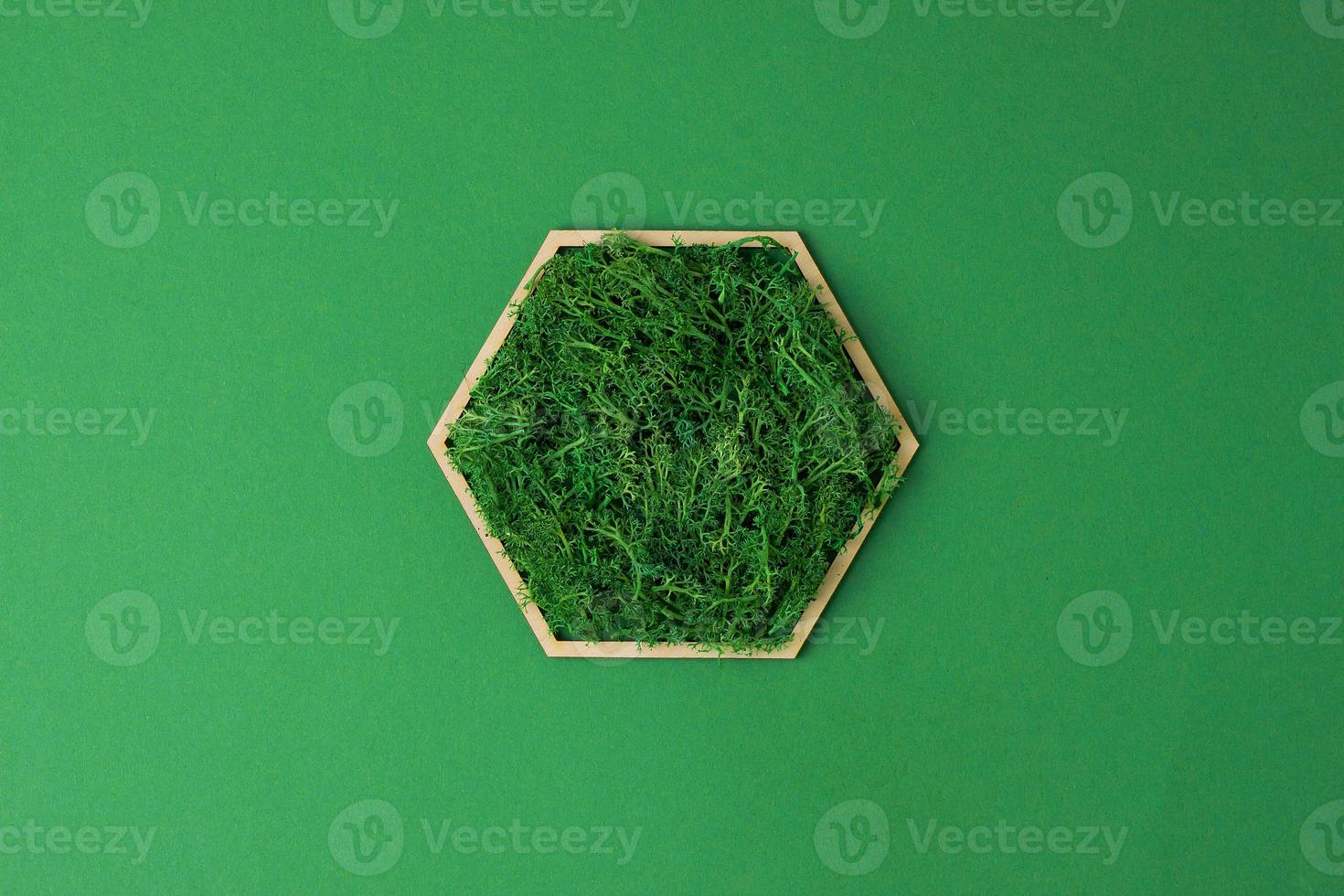 Cosmetic background with a wooden hexagon and moss on green. Flat lay, copy space photo