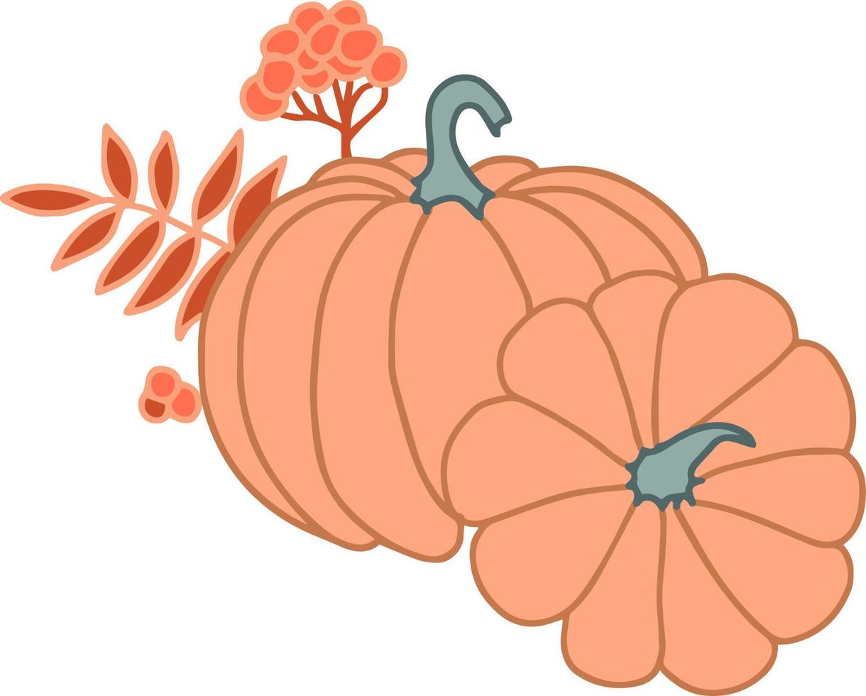 calabazas y rama de serbal con hojas y racimo de bayas ilustración de vector de otoño estacional día de acción de gracias