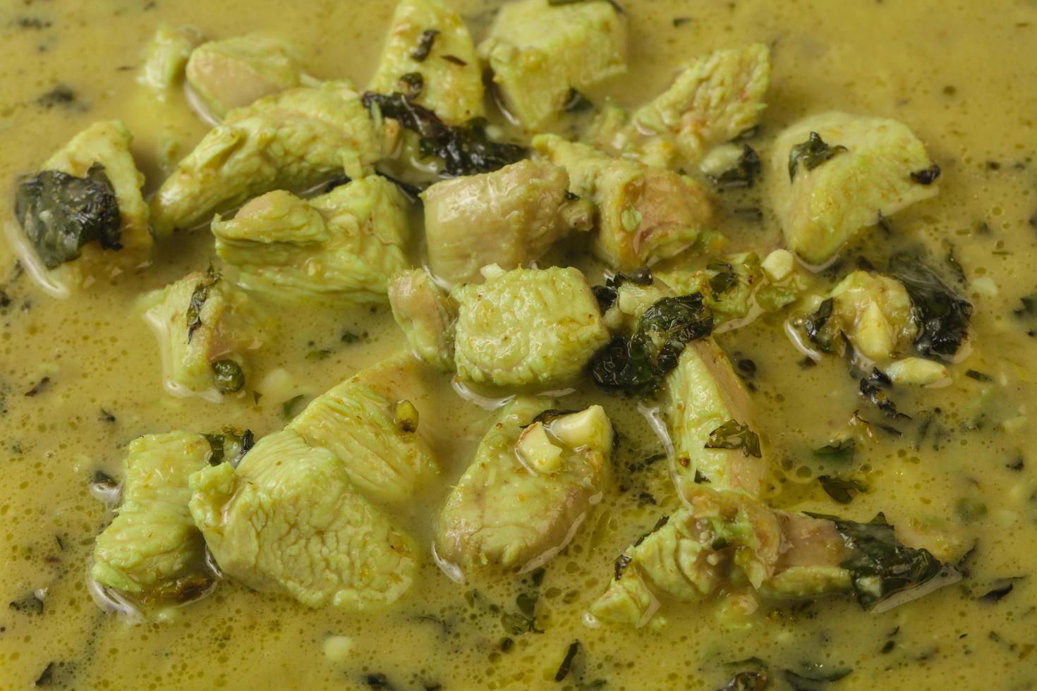 Green Curry dish view photo